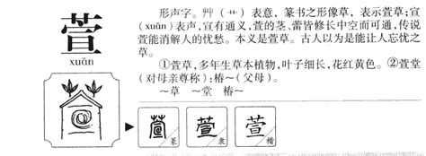 萱的五行|萱字起名寓意、萱字五行和姓名学含义